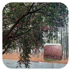 Meet your Posher, Terra